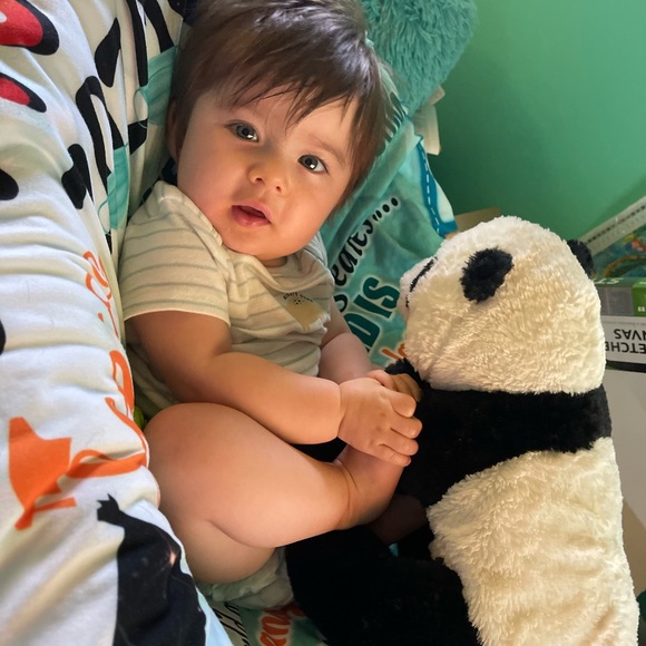 Meet your Posher, Dezi - Picture 4 of 5